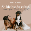 Banner für Webinar: so bleibst du ruhig, wenn dein Hund ausrastet von Paws and Paths
