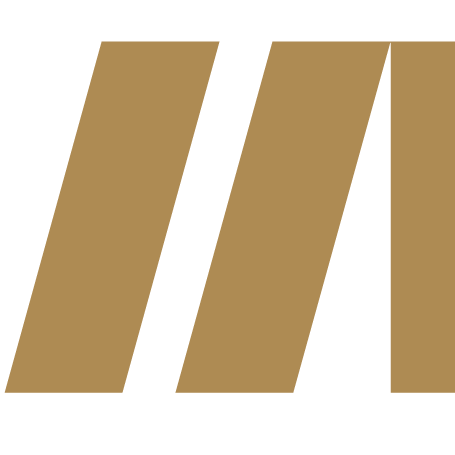 Meinfluss_logo_icon-455x455.png