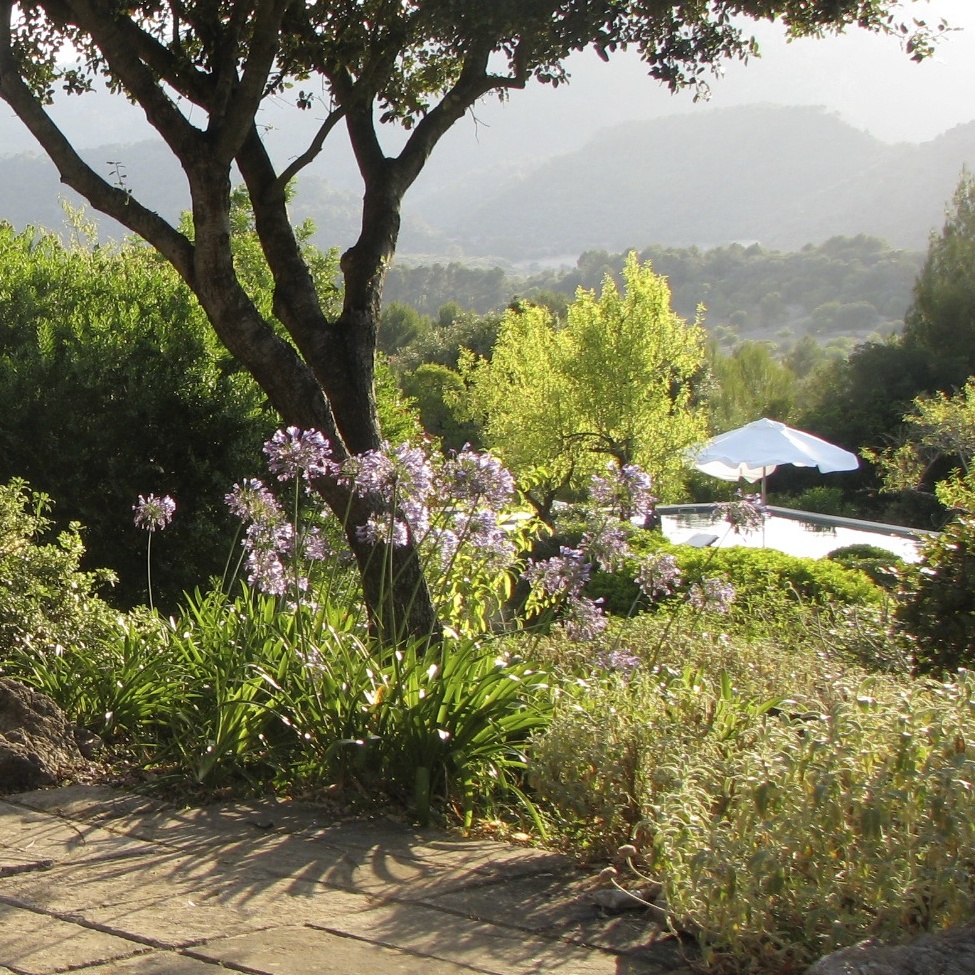 Table on Terrace-975x975.JPG