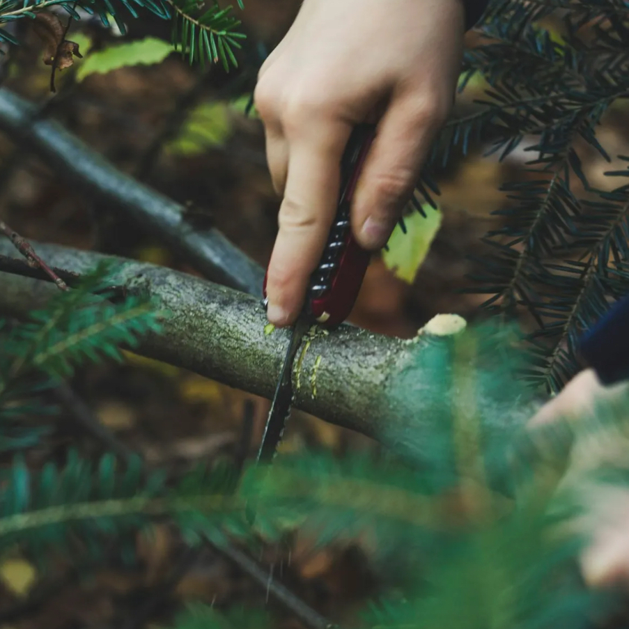 Taschenmesser Diplom - Schritt für Schritt zum richtigen Handling