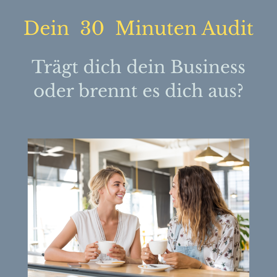 30 Minuten Audit Ramona Diedrich