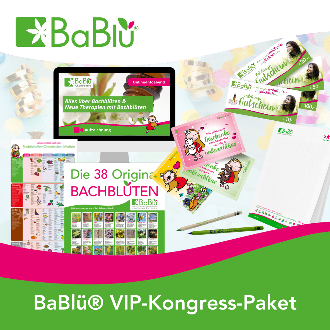 BaBlue VIP Kongress Paket-1080x1080.png