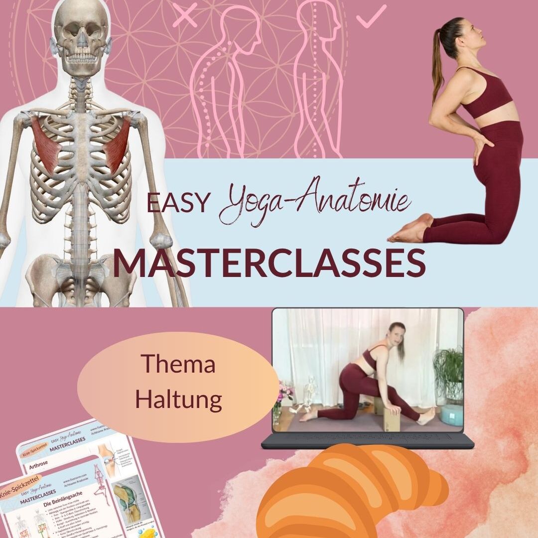 EASY Yoga-Anatomie MASTERCLASSES-1080x1080.jpg