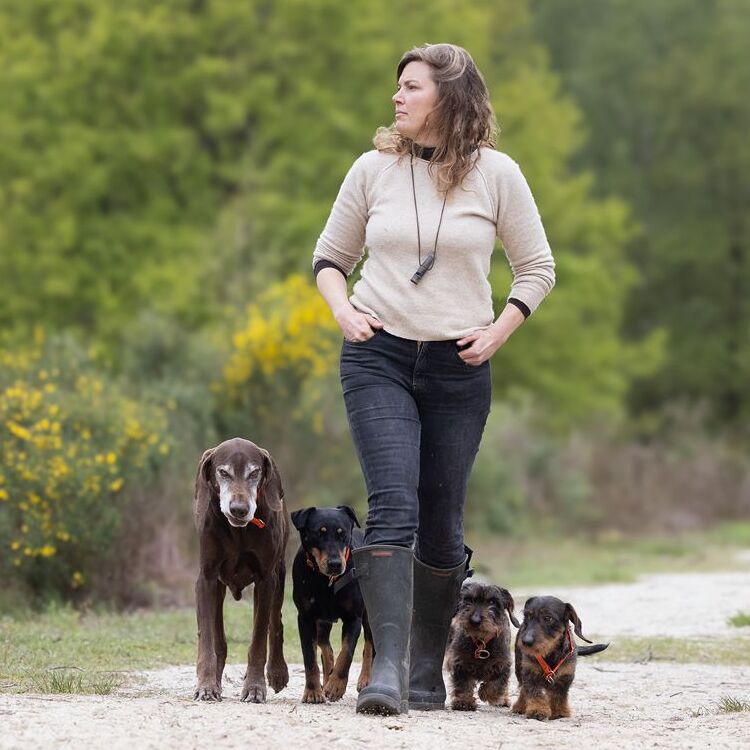 10 Stunden Social Walk