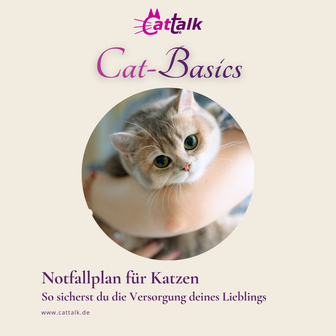 Produktbild Notfallplan