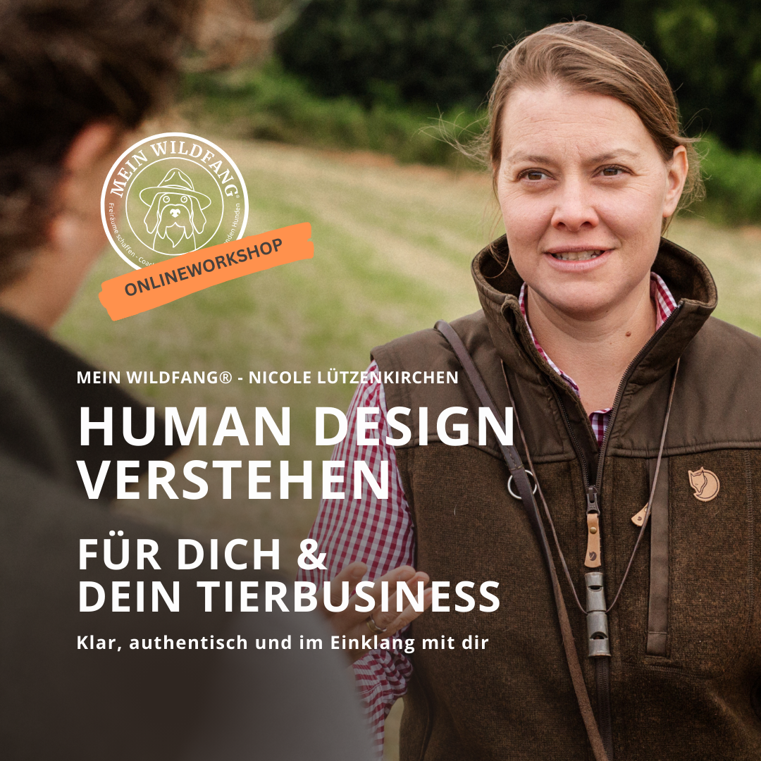 Produktbilder Elopage (27)-1080x1080.png