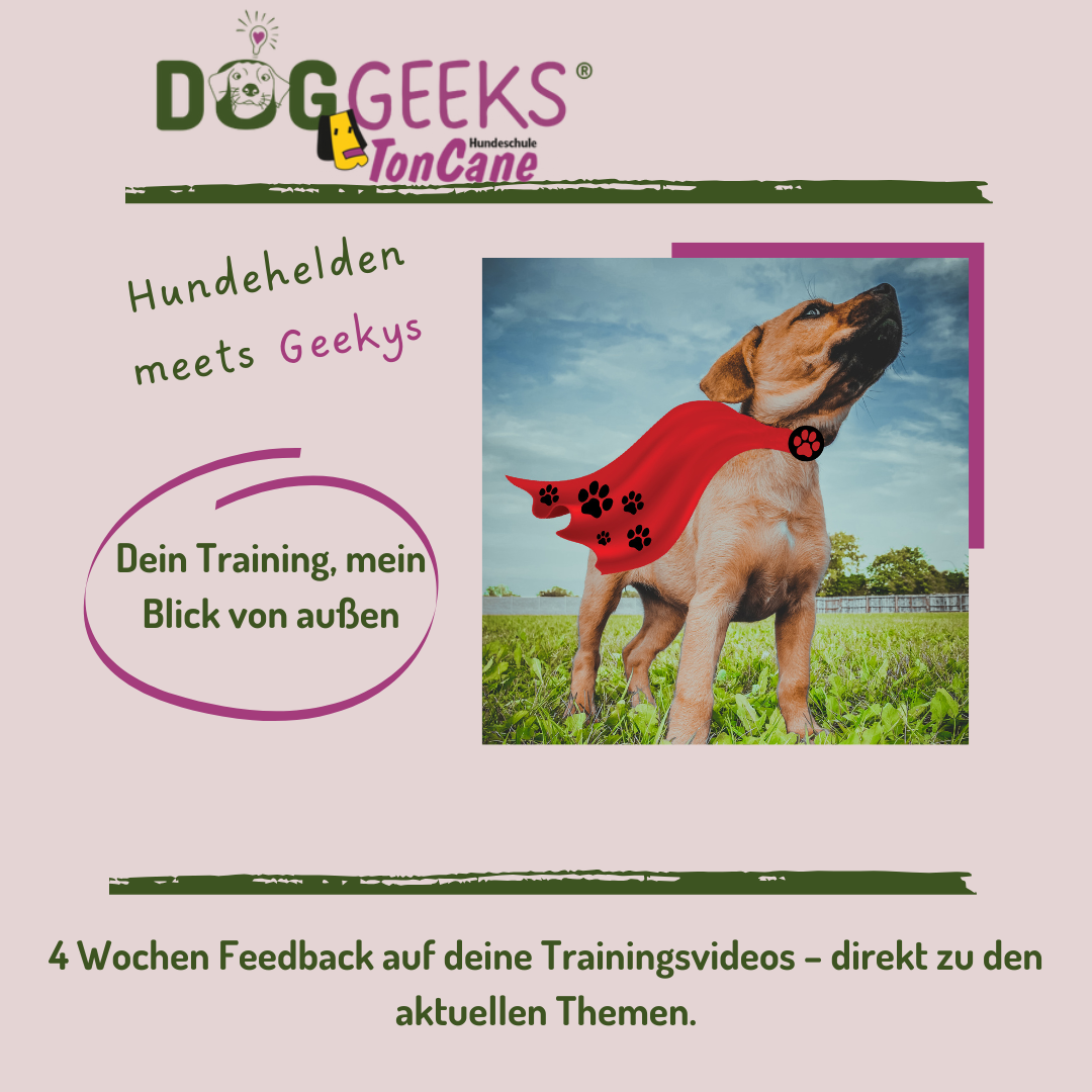 Clubs, Geekys -5-1080x1080.png