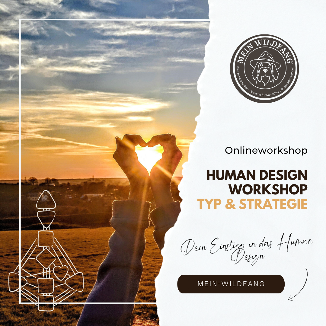 Produktbilder Elopage (8)-1080x1080.png