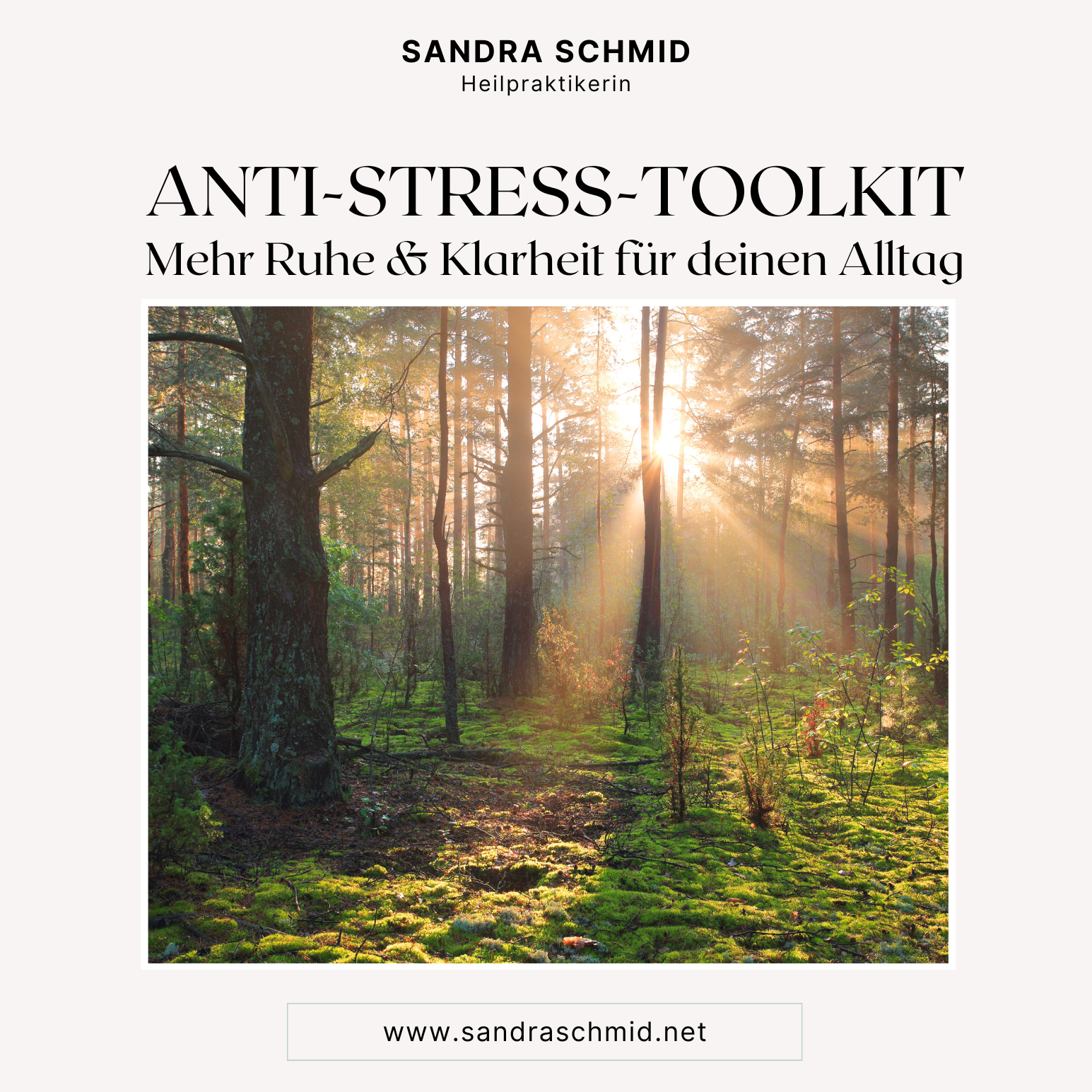 Anti-Stress-Toolkit