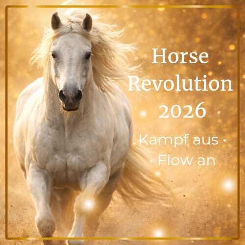 WhatsApp Image 2025-12-22 at 21.01.34-500x500.jpeg