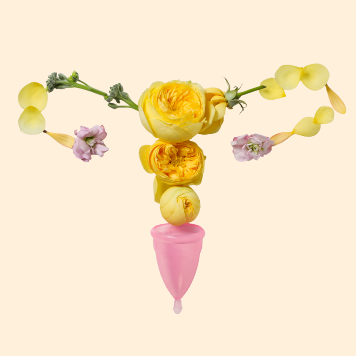 Uterus Neu