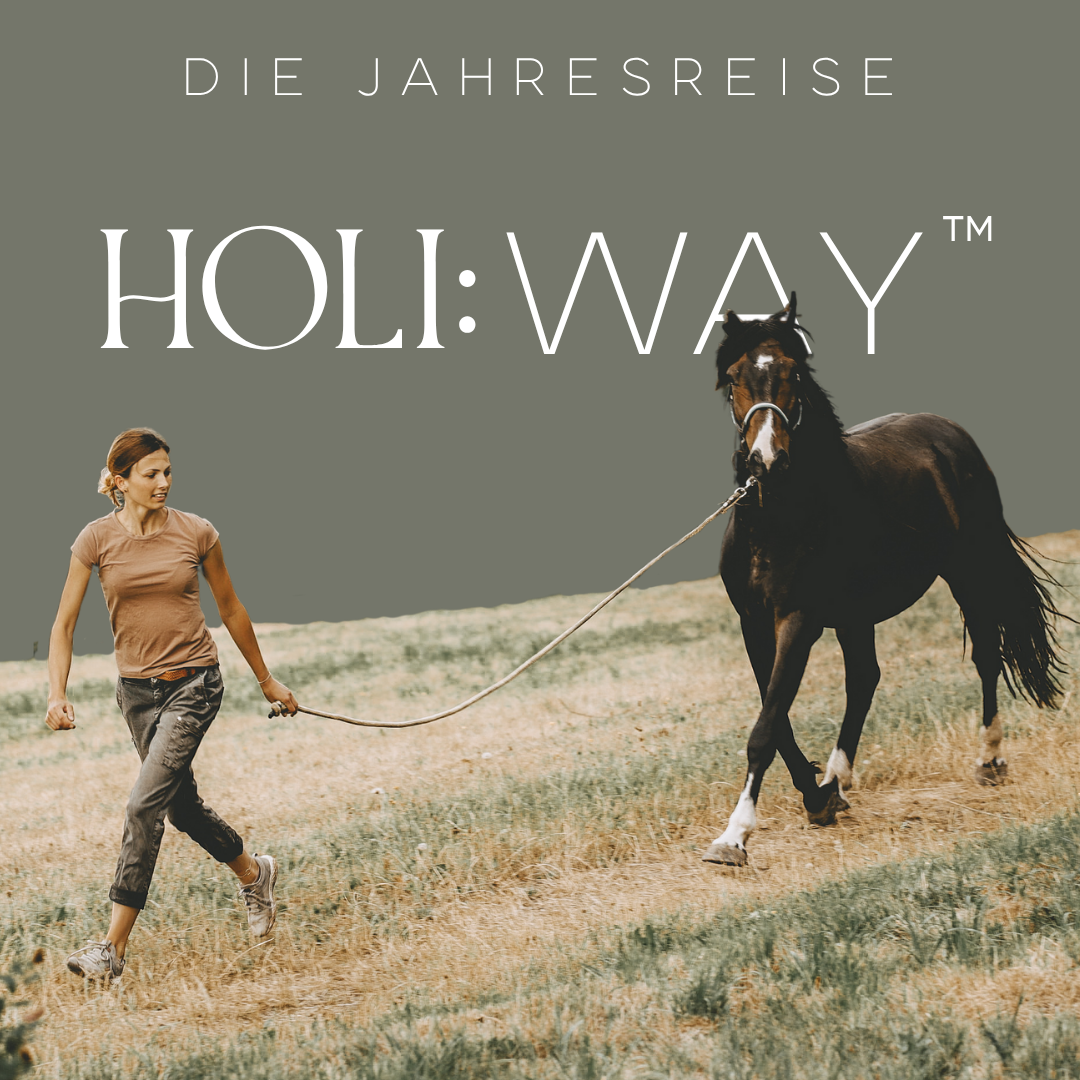 HOLI WAY neu-1080x1080.png