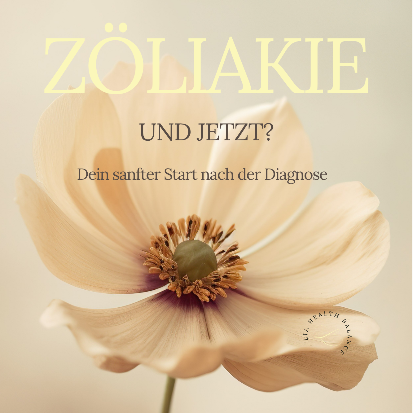 Amazon Zöliakie Guide - Der Start mit deiner Diagnose  (15.24 x 22.86 cm)-1333x1333.png