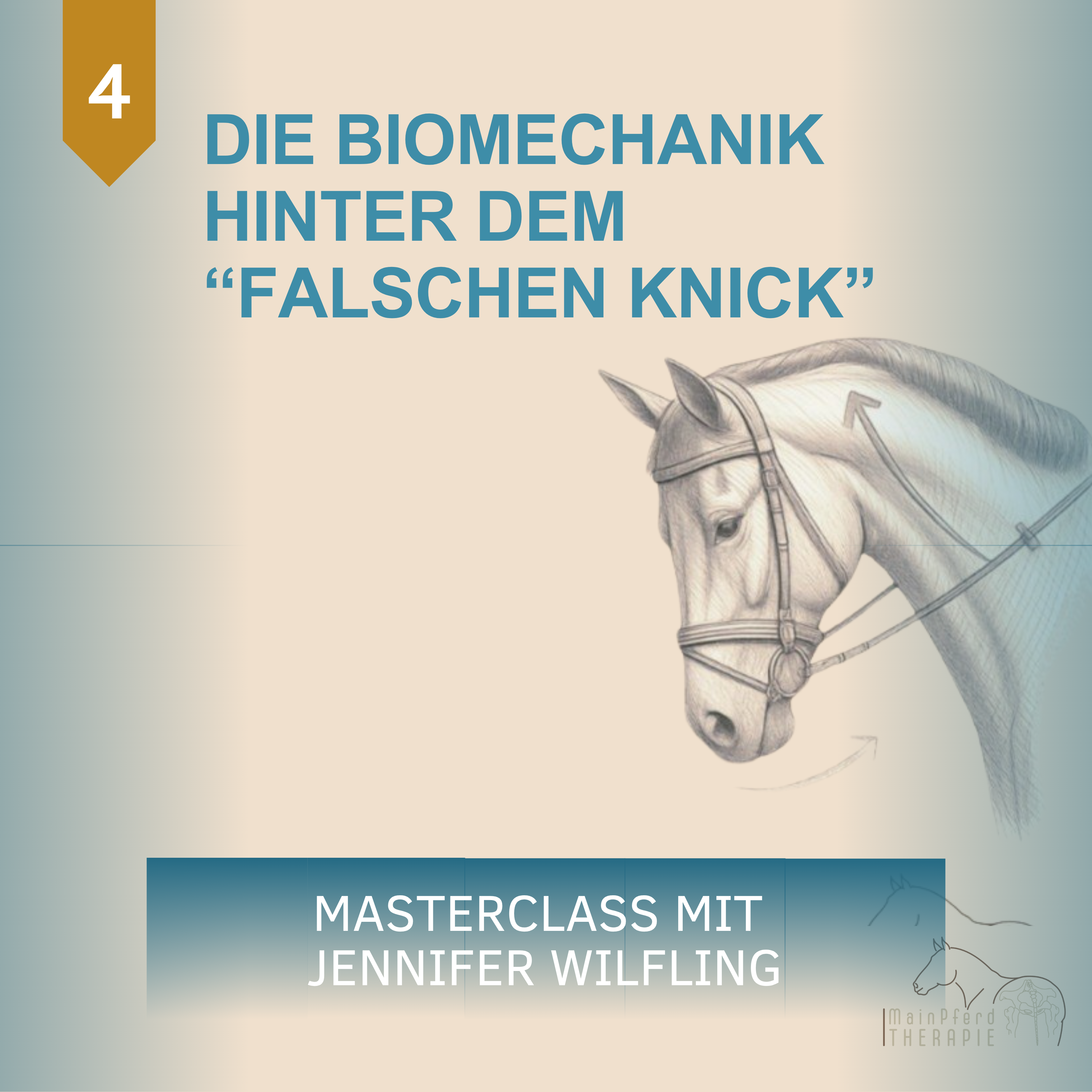 DIE BIOMECHANIK DES KIEFERGELENKS-3375x3375.png