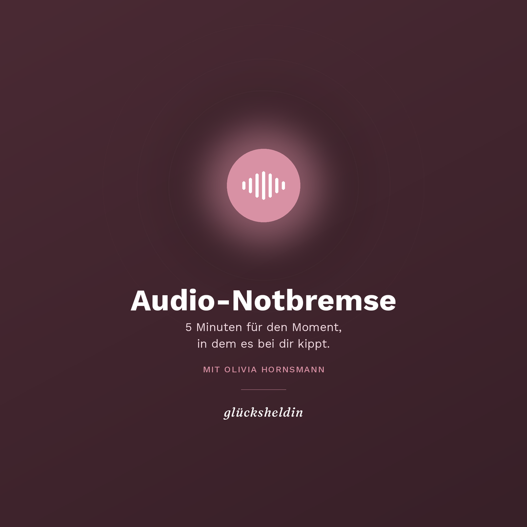 Cover Audio-Notbremse
