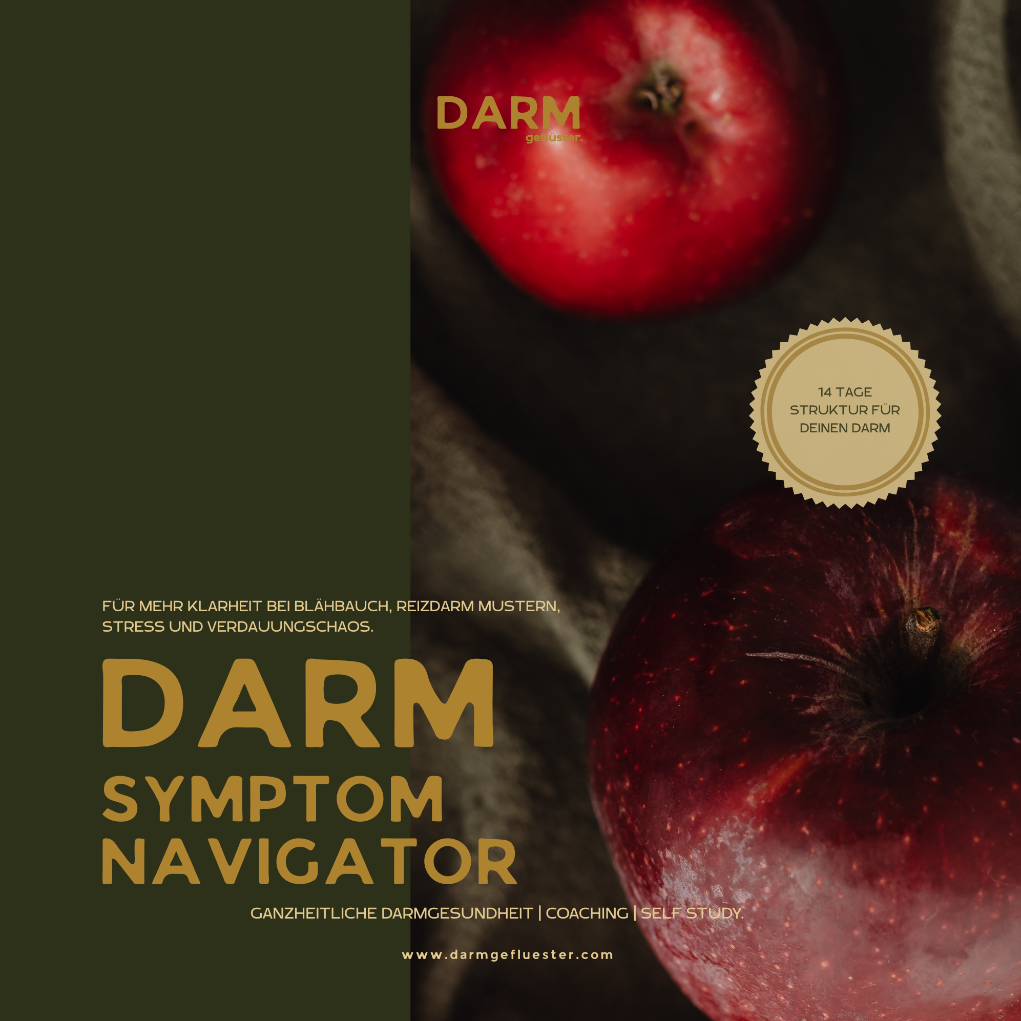 Cover quatratisch Darm Symptom Navigator (Logo)-1993x1993.png