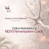 NESYS Nervensystem-Coach