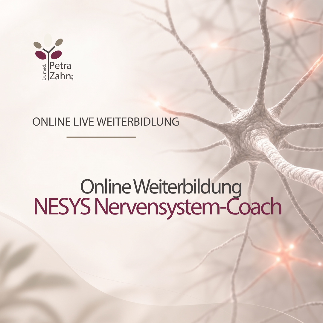 NESYS Nervensystem-Coach