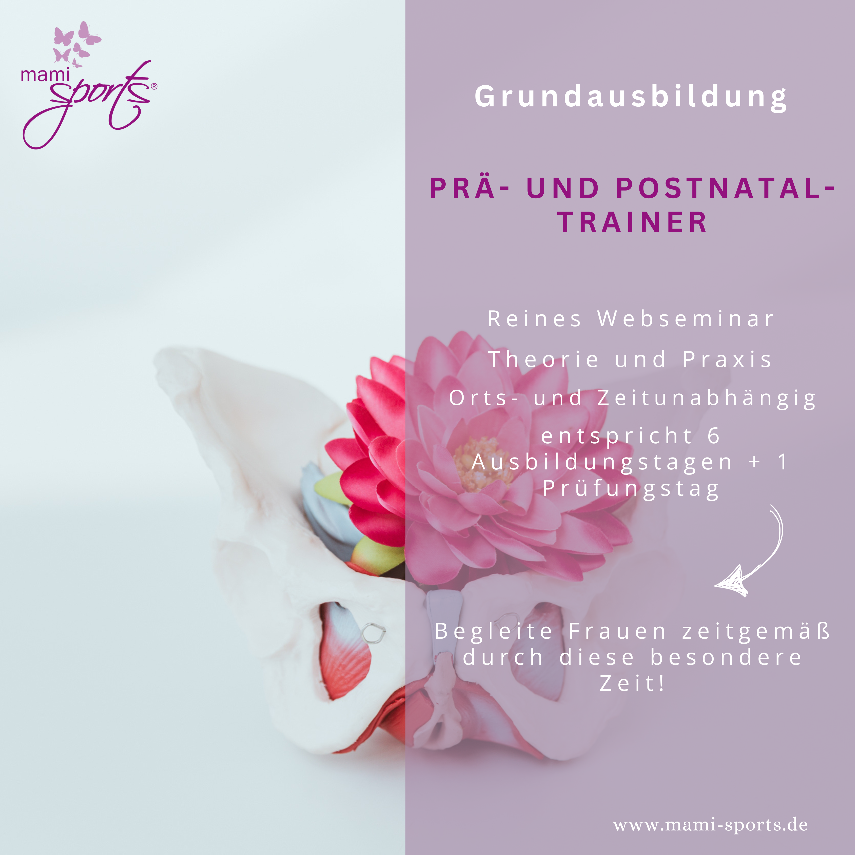 www.mami-sports.de (1)-3375x3375.png