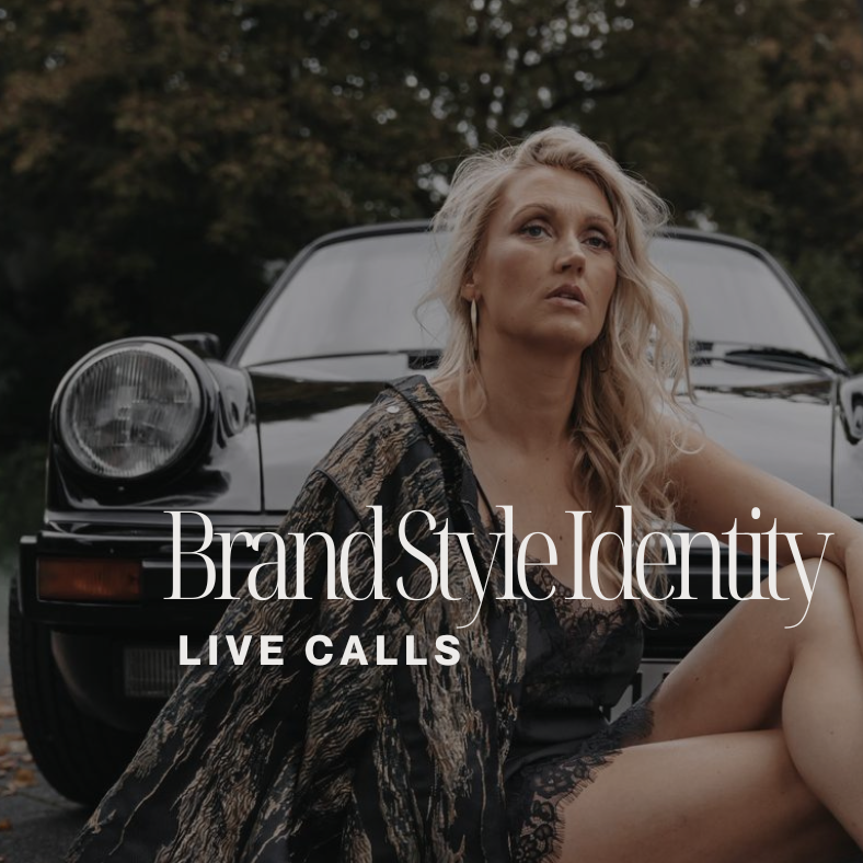 Brand Style Identity (7)-788x788.png