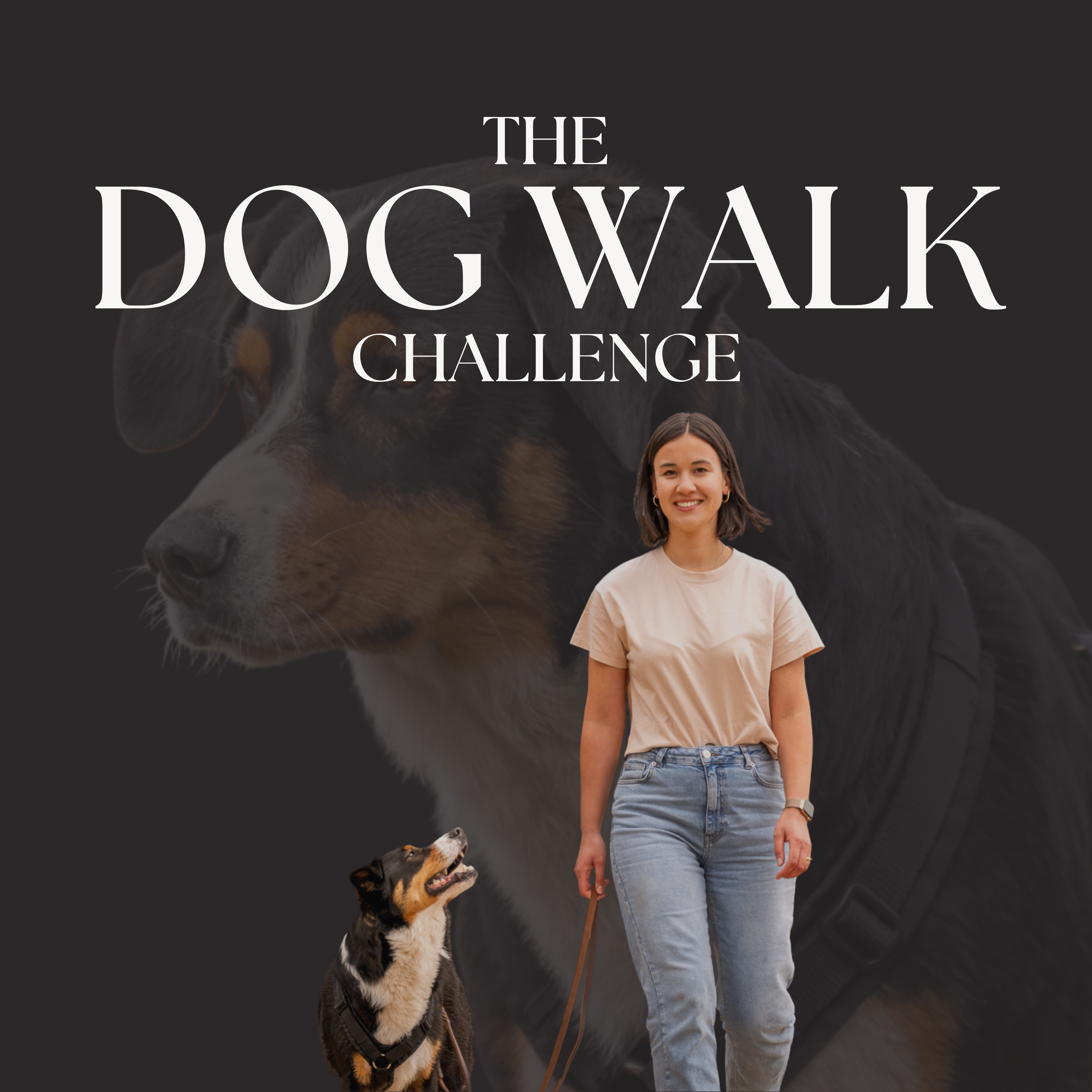 Titelbild für ablefy-3240x3240.png