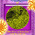 digital-icon
