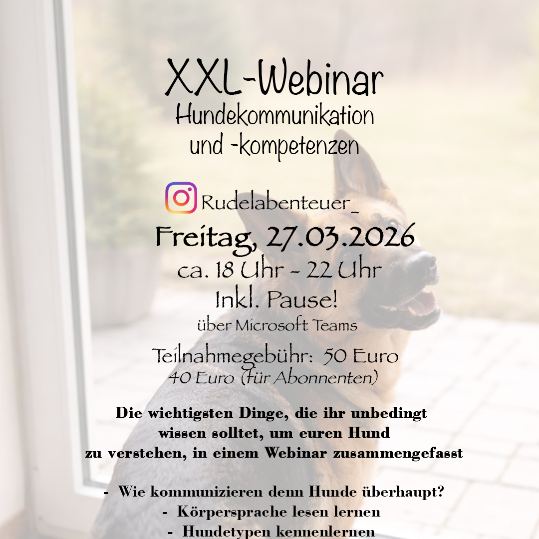 Hundekommunikation-1080x1080.jpg