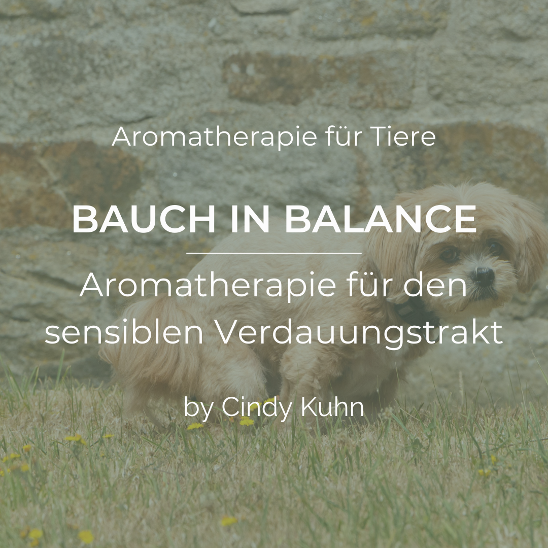 Feuer, Pflanzen, Seelenwärme (7)-1080x1080.png