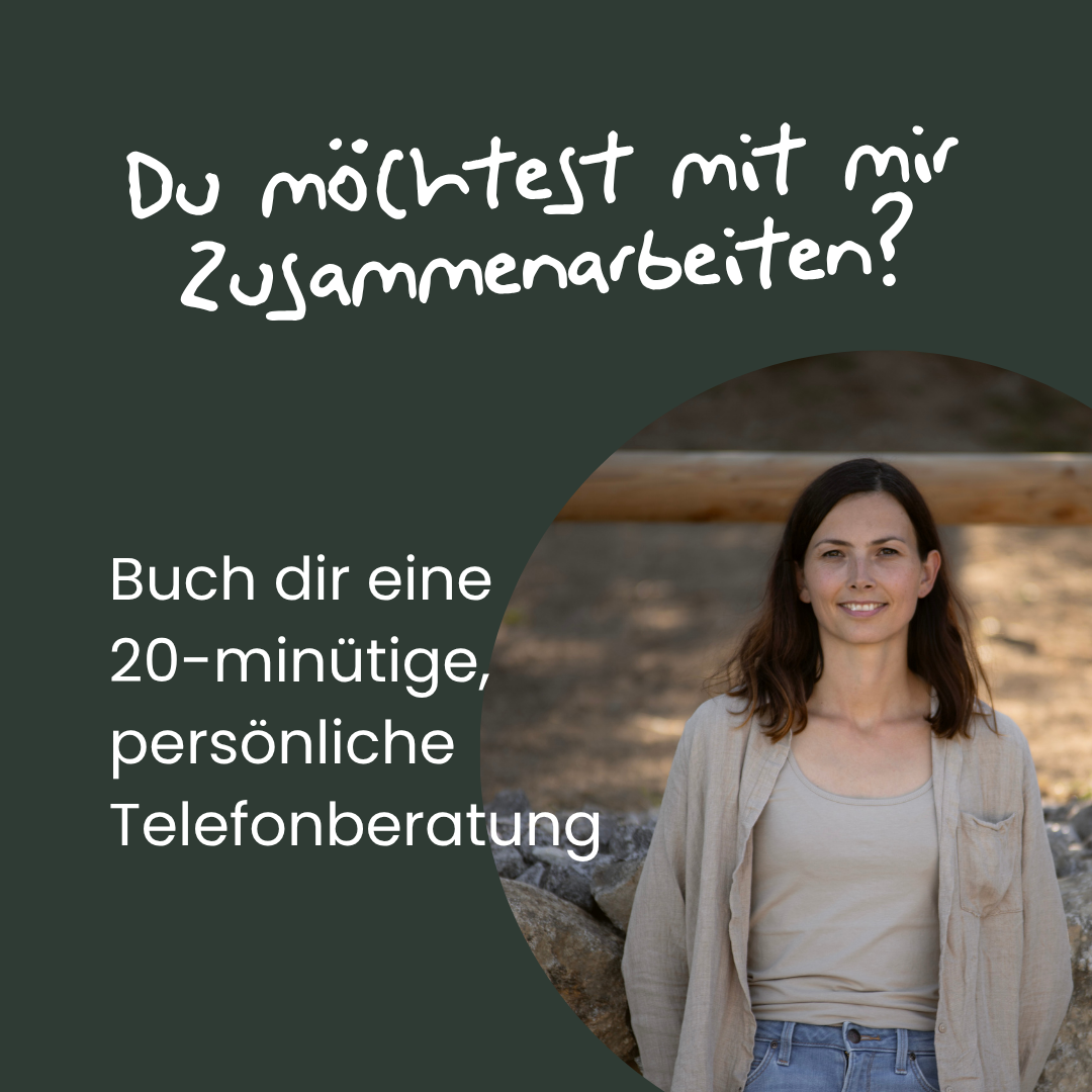 Friede, Freude, Pferdekuchen (3)-1080x1080.png