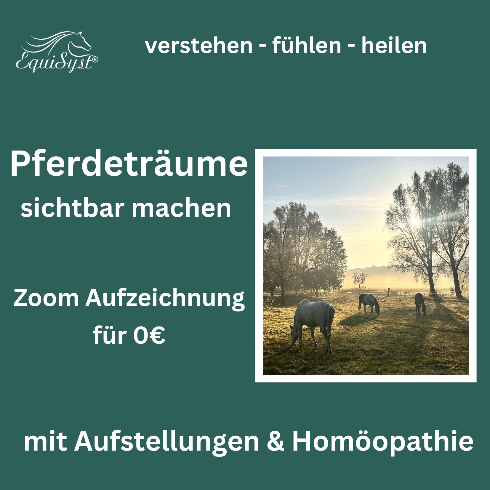 Pferde Club und Kurse(6)-1654x1654.jpg