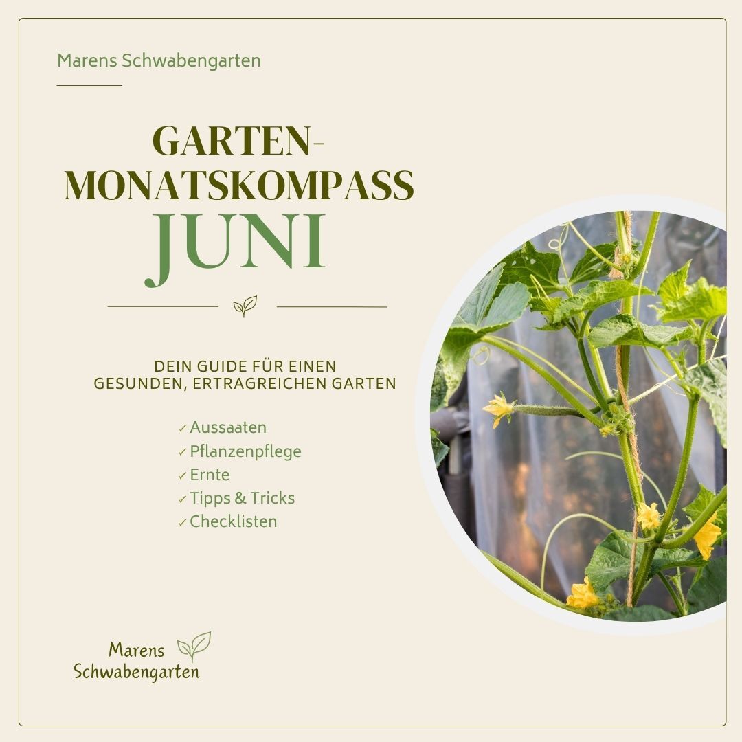 Deckblatt Garten-Monatskompass Juni