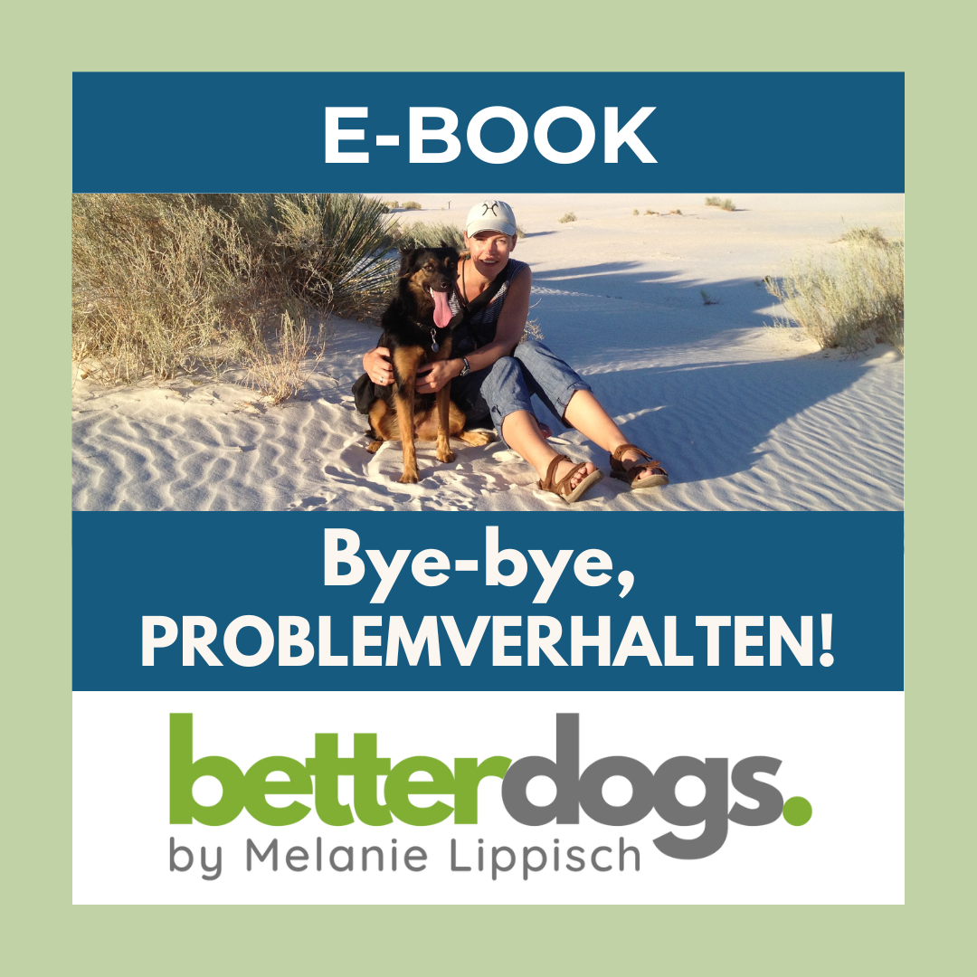 Titel-quadratisch-elopage-final-1080x1080.png