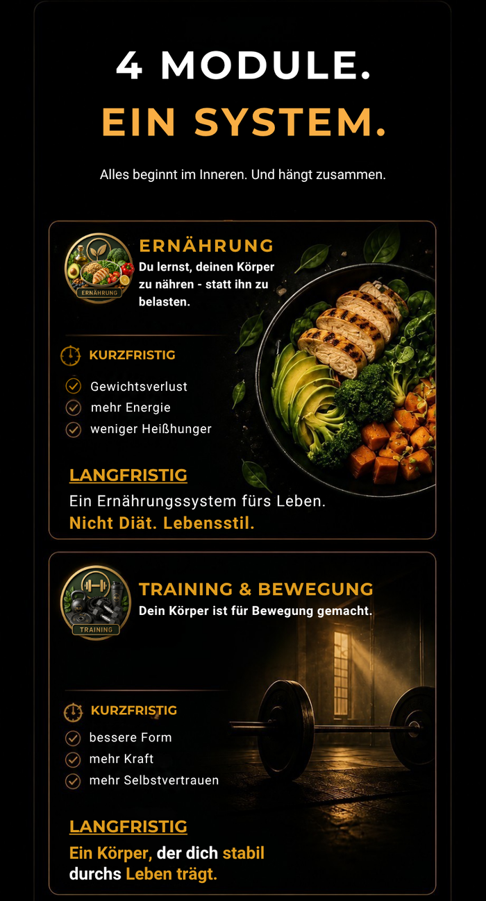 4 Module ein System. Ernährung und Training