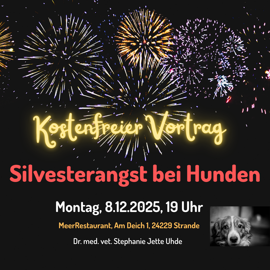 P Silvesterangst bei Hunden 08122025-1080x1080.png