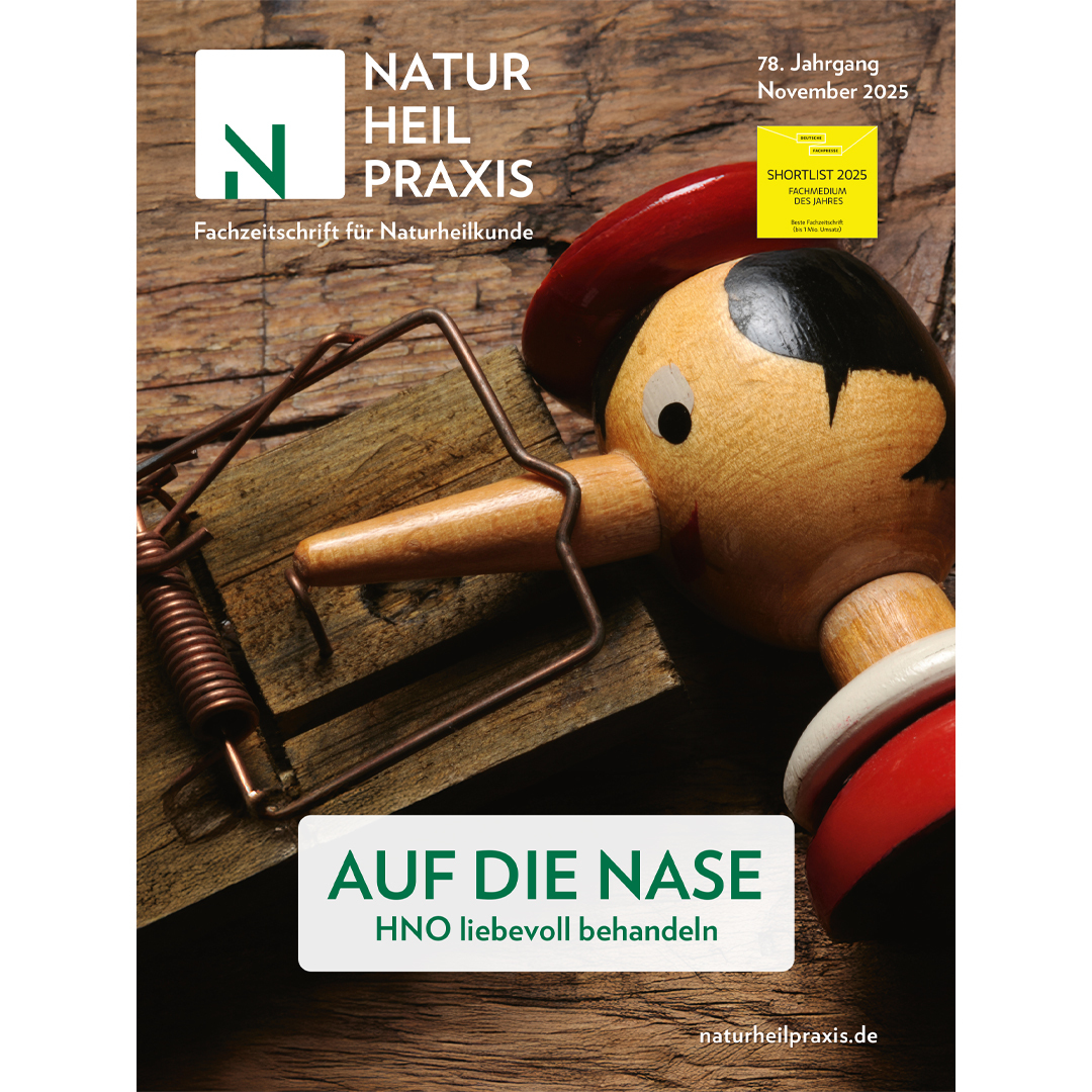 N11_Cover-1080-1080x1080.jpg