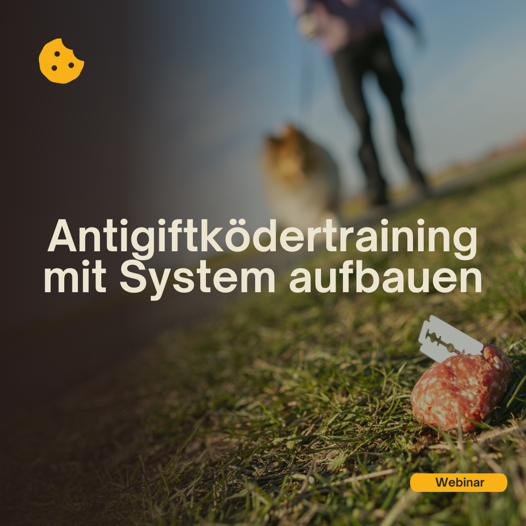Antigiftködertraining mit System aufbauen Webinar