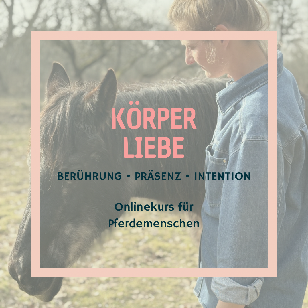 Körper - 1-1080x1080.PNG