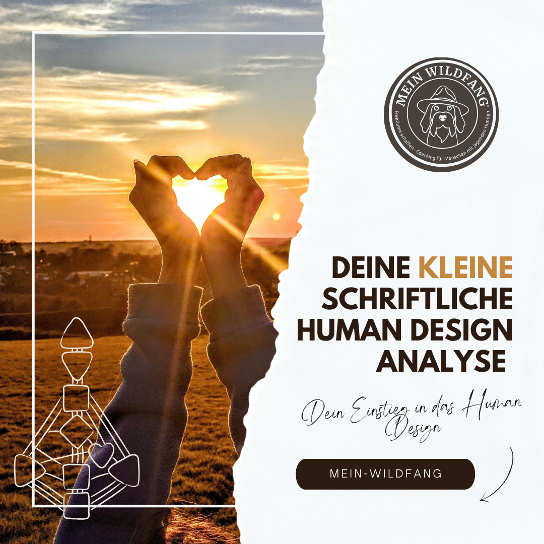 Produktbilder Elopage (4)-1080x1080.png