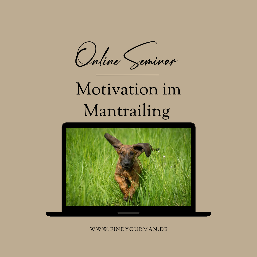 Motivation im Mantrailing-1080x1080.png