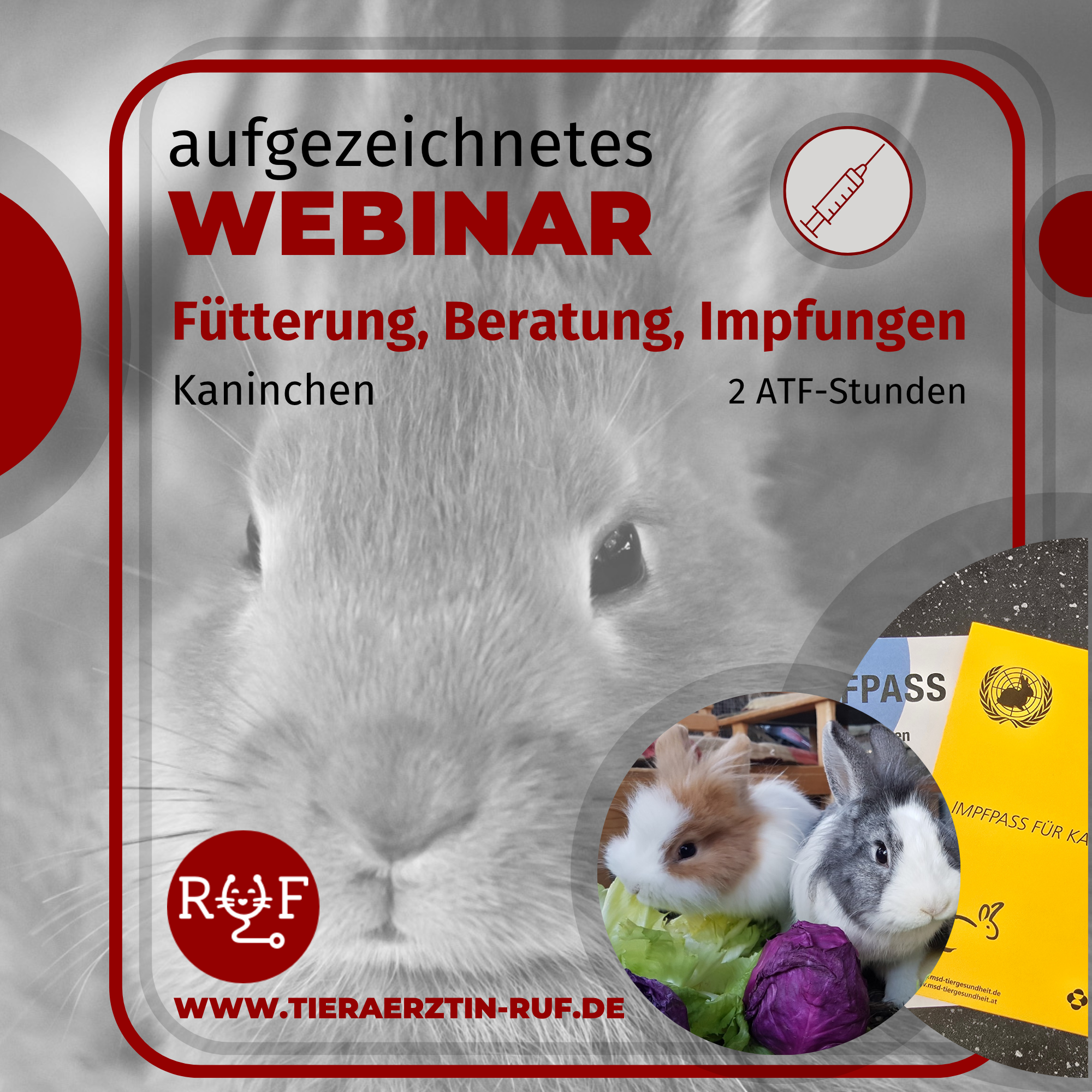 Aufzeichnungen cover 26 fütterung beratung impfung-2000x2000.png
