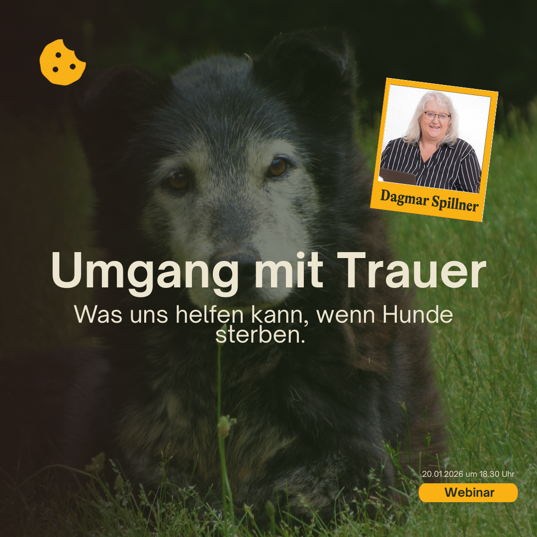 Thumbnails Abelfy-9-1080x1080.png