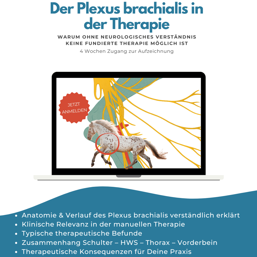 Live Webinar (Instagram-Post (45))-1080x1080.png