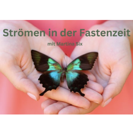 Bildschirmfoto 2025-12-29 um 14.13.16-460x460.png