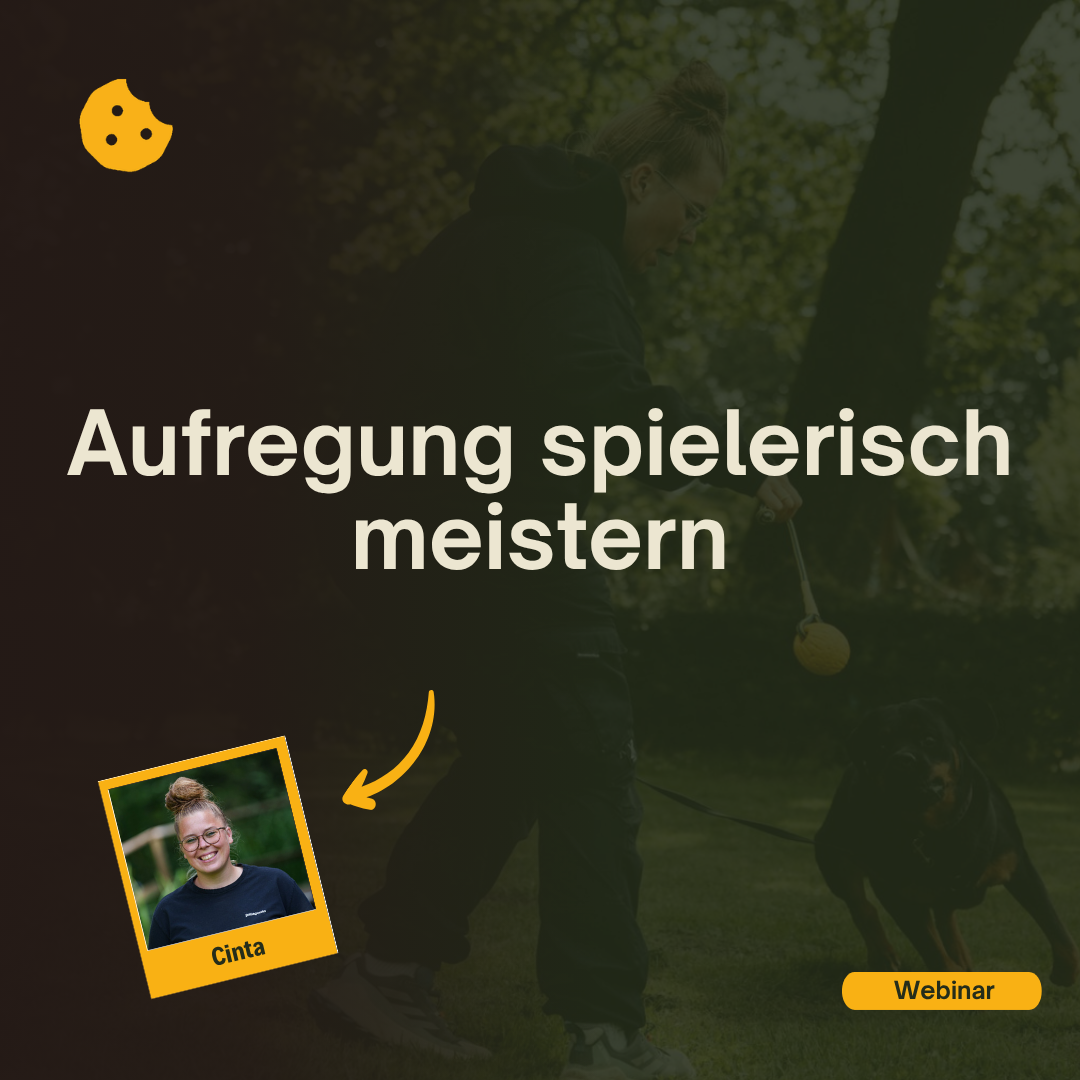 Thumbnails Abelfy-12-1080x1080.png