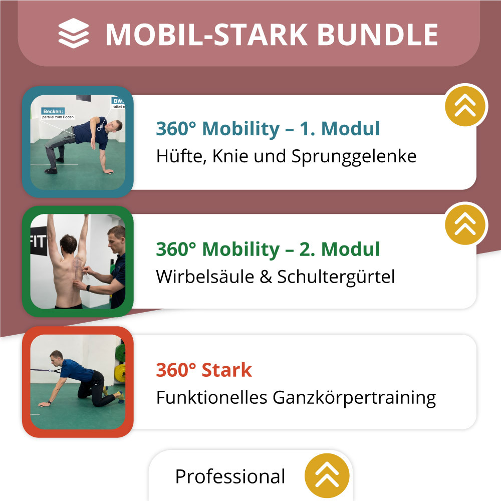 Cover-MobilStark-Professional-1000x1000.jpg