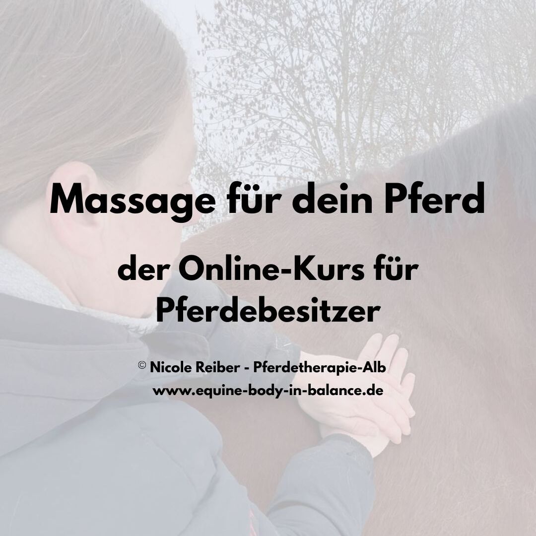 Massage für dein Pferd - Titelbild-1080x1080.jpg
