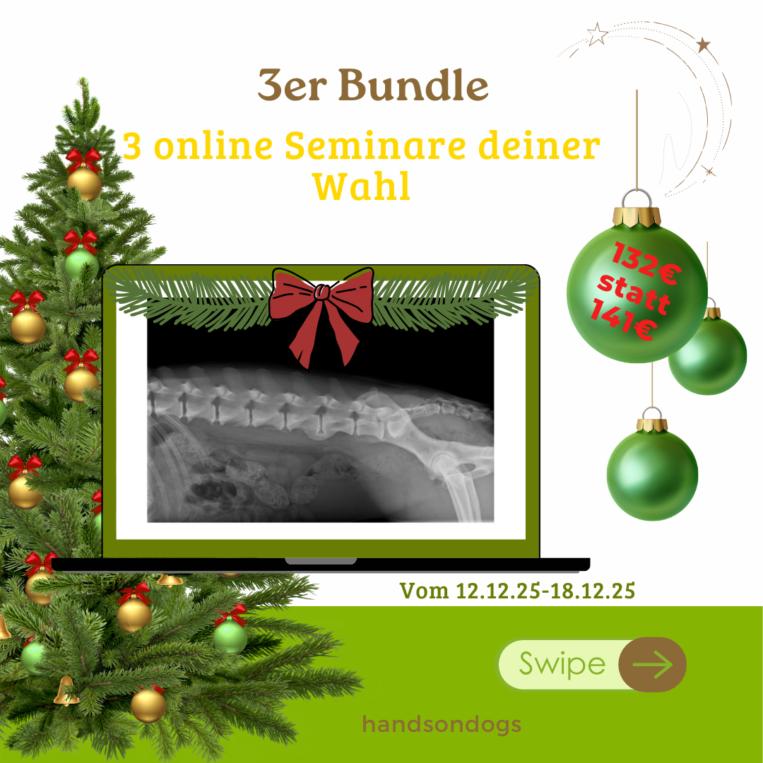 3er Bundle-1080x1080.png
