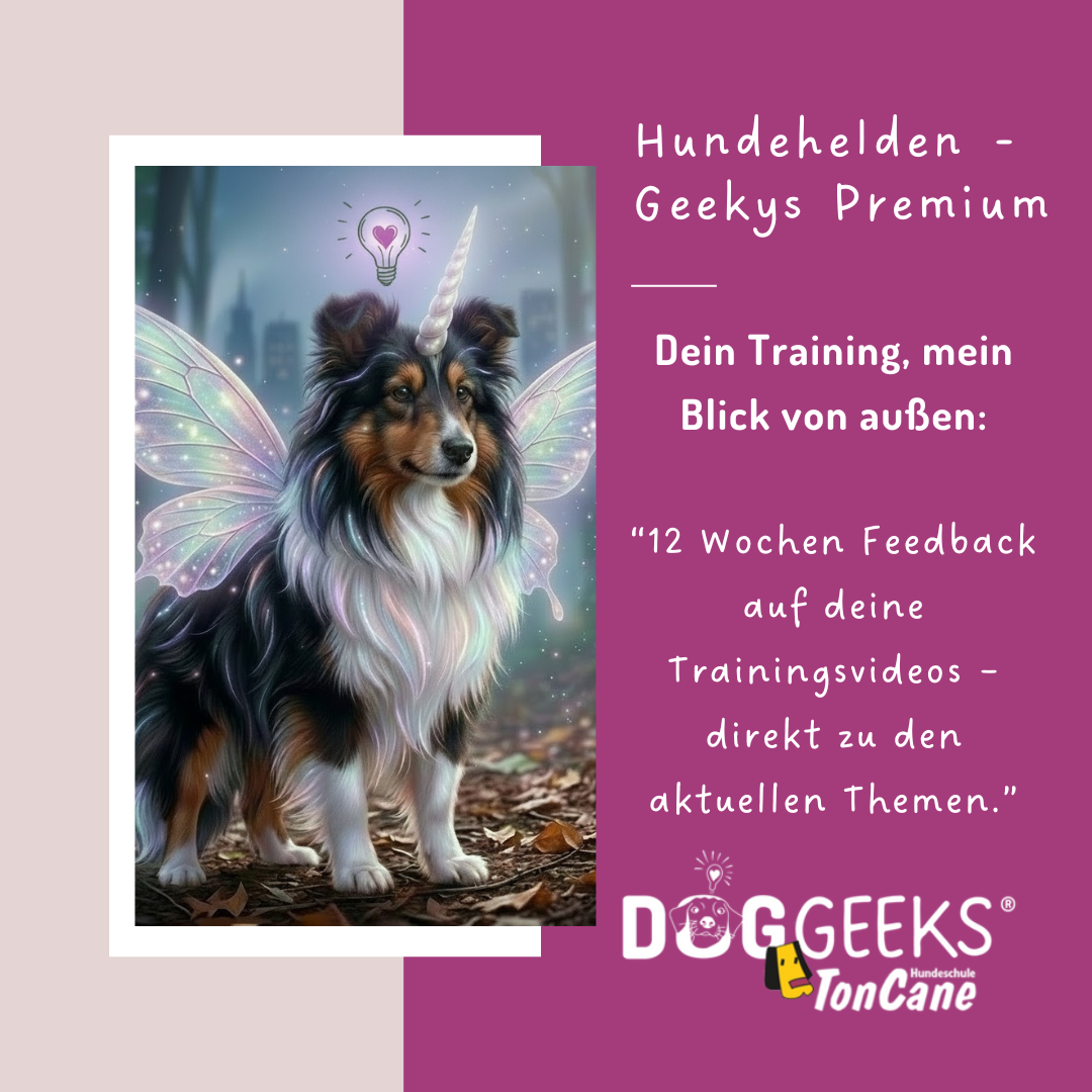 Hundehelden 3