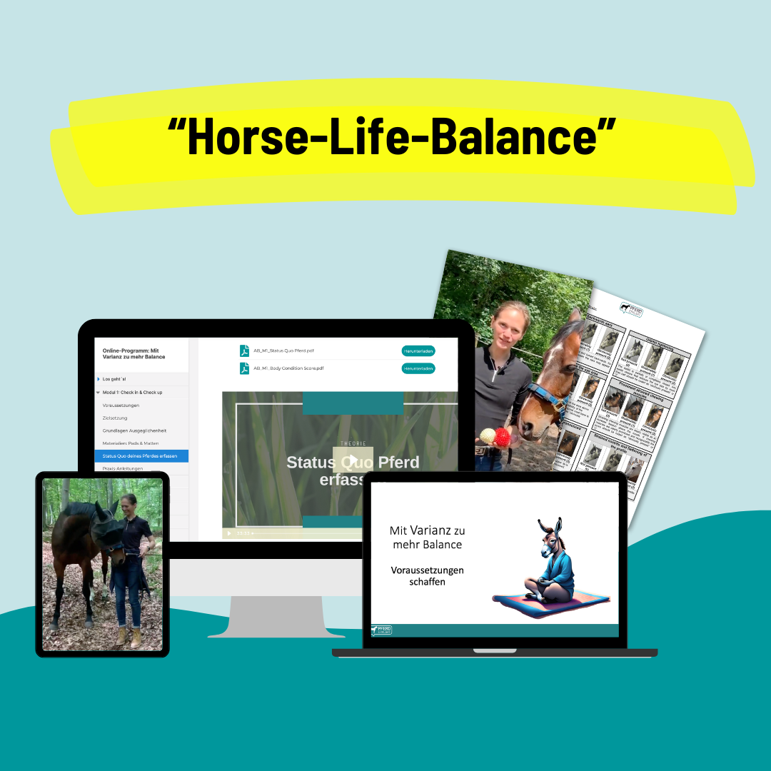 Coverbild für Onlineprogramm "Horse-Life-Balance" von Pferd erklärt