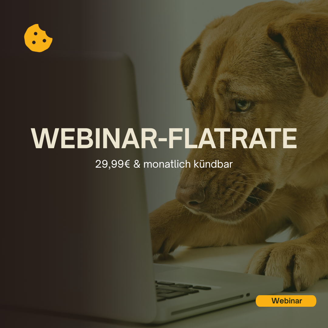 Medical Training spielerisch aufbauen-3-1080x1080.png